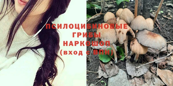 шишки Бронницы