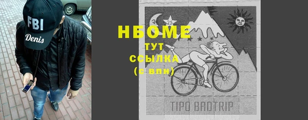 мдпв Богородицк