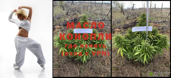 мдпв Богородицк