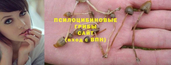 МДПВ Богородск