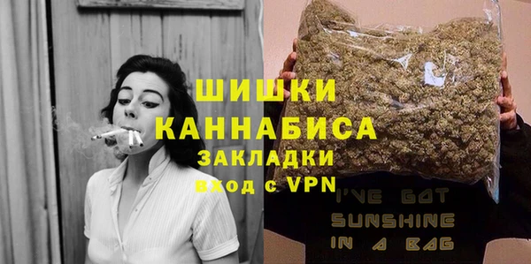 шишки Бронницы