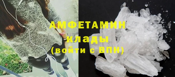 дмт Пересвет