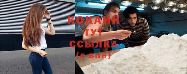 мдпв Богородицк
