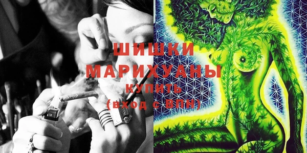 МДПВ Богородск
